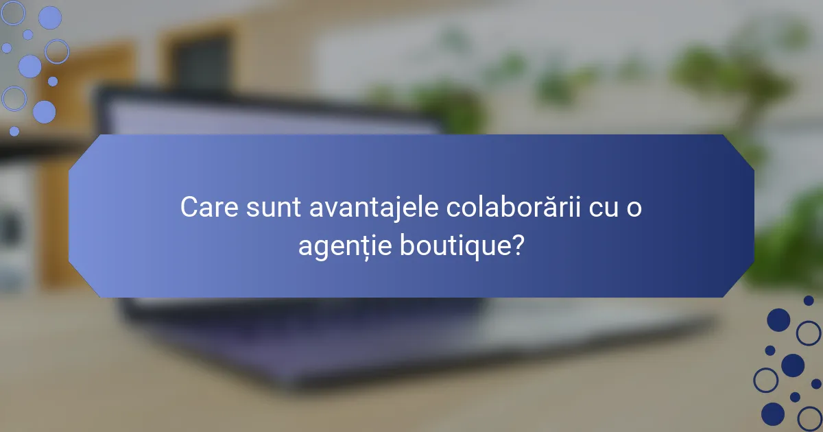 Care sunt avantajele colaborării cu o agenție boutique?