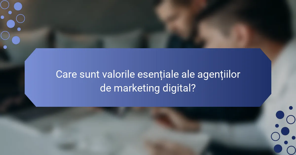 Care sunt valorile esențiale ale agențiilor de marketing digital?