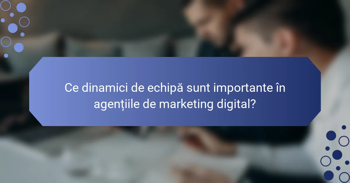 Ce dinamici de echipă sunt importante în agențiile de marketing digital?