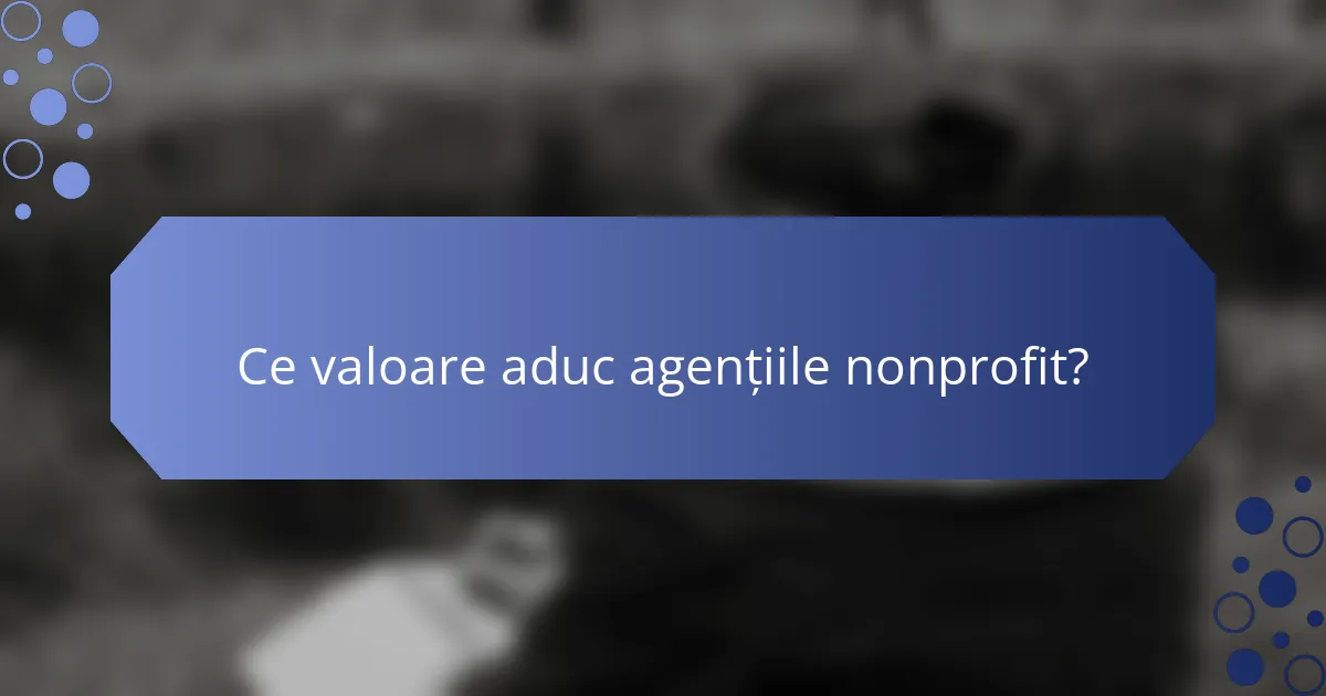 Ce valoare aduc agențiile nonprofit?