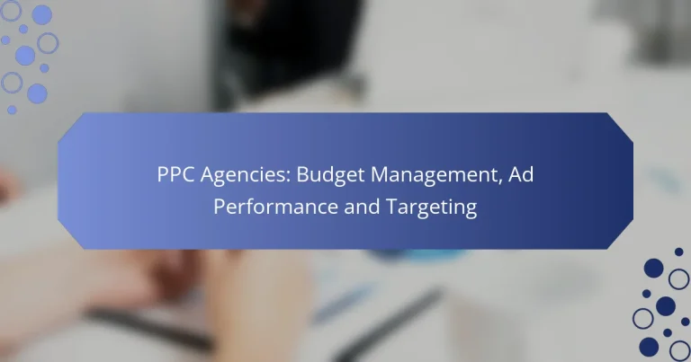 Agenții PPC: Managementul Bugetului, Performanța Reclamelor și Țintirea